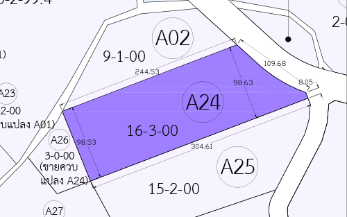 A24